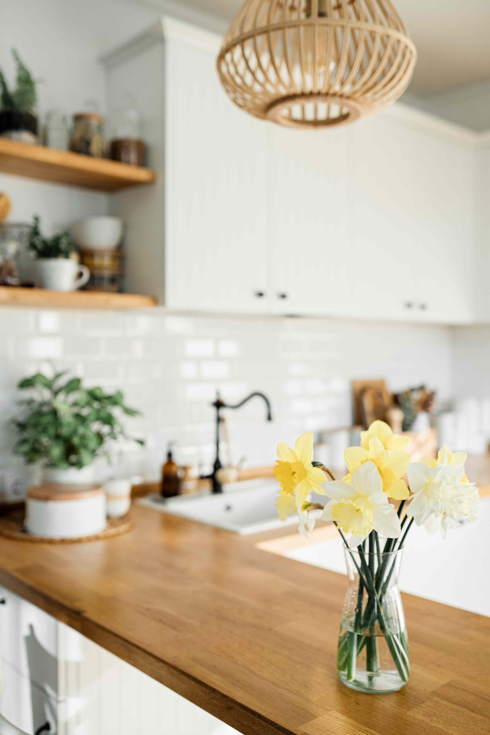 AdobeStock_431960609 (1)